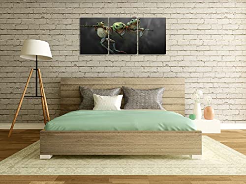 Nan Wind Frog On Tree Wall Art Canvas Wildlife Wall Decor Black And White Pictures On Wall Art For Home Office Decorations Living Room Bedroom And Kitchen Decor 3 Pcs Framed Canvas Prints 12X16Inches #TOP4
