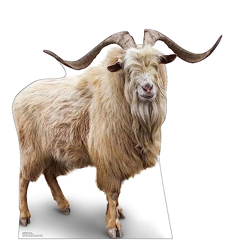 Image of Cardboard People Wild Mountain Goat Life Size Cardboard Cutout Standup - Made in USA
