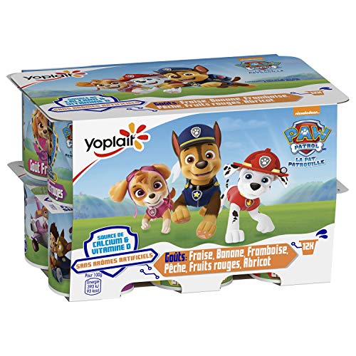 Petits Suisses Aromatisé Aux Fruits Fraise Banane Fruits Rouges Pat' Patrouille Yoplait Les 12 Pots De 50g - vue 2