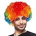 Unisex Short Fluffy Afro Funny Wigs for Halloween,Holiday Party Clown Costume (Rainbow)