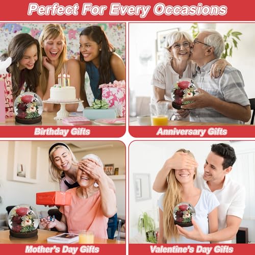 Gifts-for-Women-Rose-Fresh-Flowers-in-Glass-Dome-with-LED-Light-Real-Roses-Gifts-for-Wife-Sister-Girlfriend-on-Mother-Day-Birthday-Valentine-Day-red