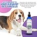 Jax N Daisy Pool Pawty Body Spray a Delightful Summer Scent All Natural Good for Coat Skin Long Lasting Deodorizing Spray Dog Perfume Deodorant for Smelly Dogs pet Perfume