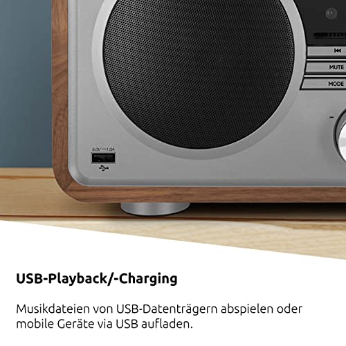 TechniSat DIGITRADIO 602 - Stereo Internetradio (DAB, FM, 70 watt 2.1-systeem met subwoofer, draadloze oplader, CD, USB… - Image 8