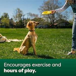 Earth-Rated-Flying-Disc-Dog-Toy-Interactive-Flying-Saucer-Toy-for-Adult-and-Puppy-Dogs-Floats-in-Water-Large-Yellow - Cucciolini Doodles   Earth-Rated-Flying-Disc-Dog-Toy-Interactive-Flying-Saucer-Toy-for-Adult-and-Puppy-Dogs-Floats-in-Water-Large-Yellow