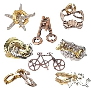 8 Pieces 3D Metal Brain Teaser Puzzle for Adults, Children Metal Puzzle Puzzle Assembly & Disentanglement Puzzles IQ Challenge Brain Teaser Puzzle Logical Smart Thinking Puzzle Lock Toy