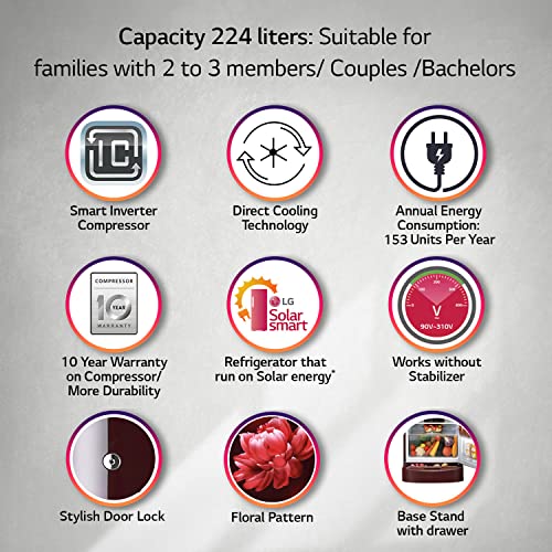 LG 224 L 4 Star Inverter Direct-Cool Single Door Refrigerator (GL-D241ASCY, Scarlet Charm, Base stand with Drawer, Total capacity -235 L) - Image 3