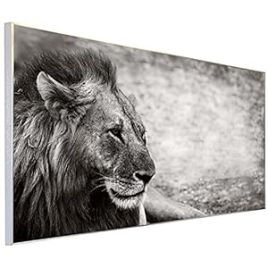 Ecowelle Infraroodverwarming met afbeelding | 900 Watt | 60×120 cm | infrarood verwarming | Made in Germany | (66)