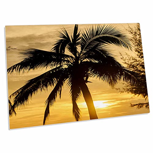 3dRose pad para escritorio con diseño de atardecer y palmera miniatura 1