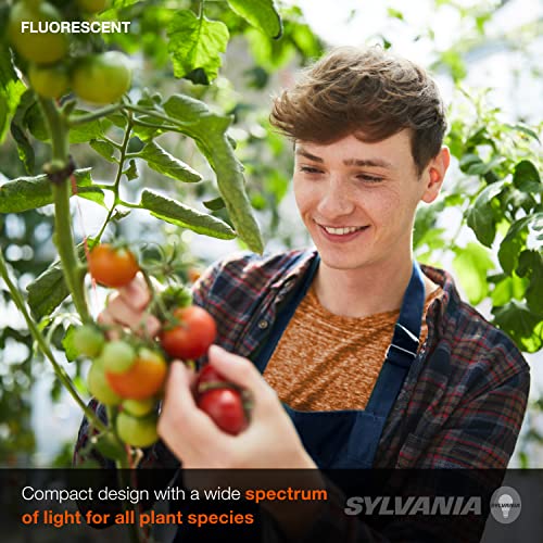 Ledvance Sylvania T8 Gro-Lux Fluorescent Tube Light Bulb, 15W, G12 Bi-Pin Base, 325 Lumens, Non-Dimmable, 5500K – 1 Pack (21657), White #TOP4