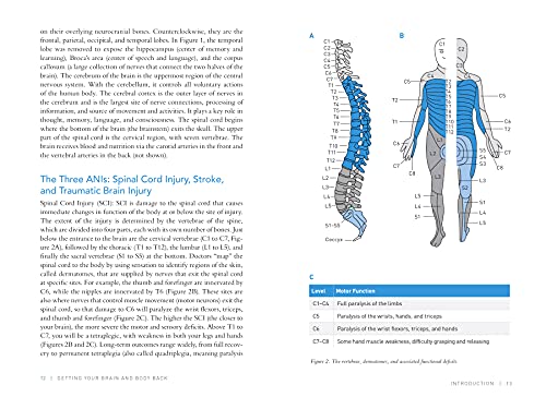 Getting Your Brain And Body Back: Everything You Need To Know After Spinal Cord Injury, Stroke, Or Traumatic Brain Injury #TOP4