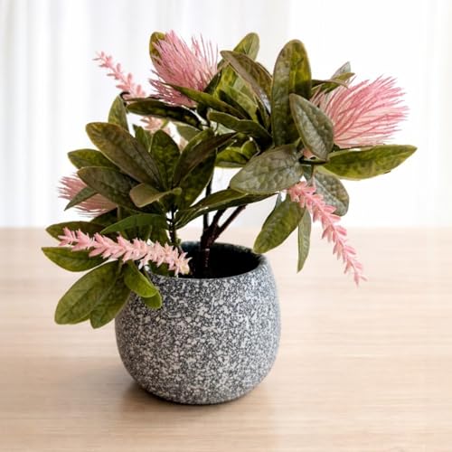 Image of Garden Art Artificial Protea Flower Arrangement in Decorative Dotted Pot - Realistic Faux Pink Protea Plant for Home, Office, Table & Shelf Decoration (P-0235Pink)