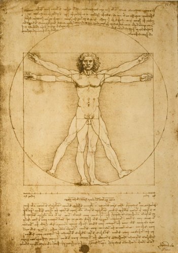 AZ24 Vintage Leonardo da Vinci's Vitruvian Man Re-Print - A2+ (610 x 432mm) 24" x 17"