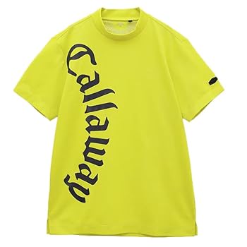 王ページ 33000877_1.jpg