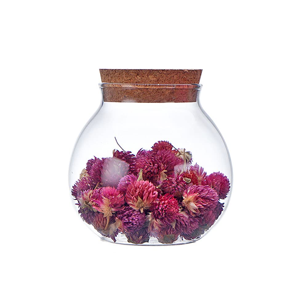 500 Ml Empty Round Sealed Glass Bottles,Round Clear Glass Favor Jar,with Cork,for Store Cookie, Candy,Spice Etc