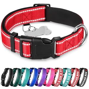 TECEUM Reflective Pet Collar – Red – S – Extra Soft Padding – Basic Nylon Dog Collar – Quick Release Buckle – Fits Small, Medium and Large Dogs, Puppies, Cats – ESA & Service Dog Options
