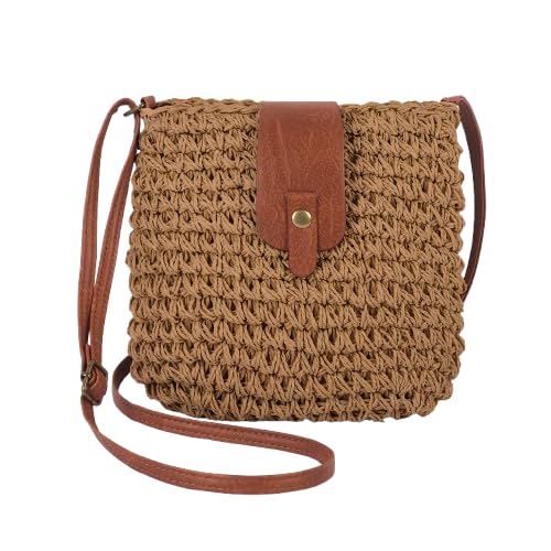 Businey Straw Bag for Women, Summer Beach Straw Bag with Zipper, ...