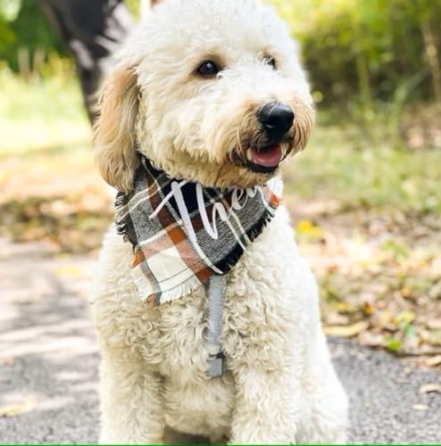 Personalisiertes Hunde-Bandana, bestickter Name, benutzerdefinierte Halsbekleidung, Hundehalstücher mit Quasten, Kanten, kariert, Weihnachtsschal, Lätzchen, Halstuch, Halsbänder für kleine und