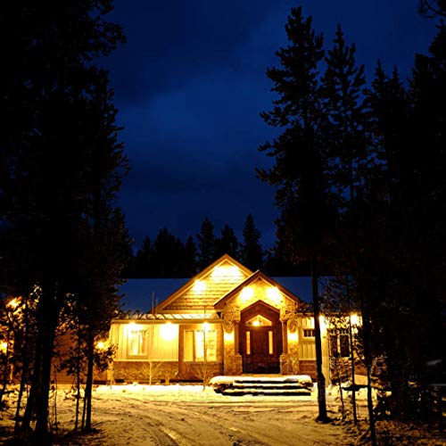 Glw 20W Led Landscape Lights 12V~60V Ac/Dc Flood Light Warm White 3000K Waterproof Garden Yard Path Lights Walls Trees Flags Outdoor Spotlights With Spike Stand (4 Pack) #TOP2