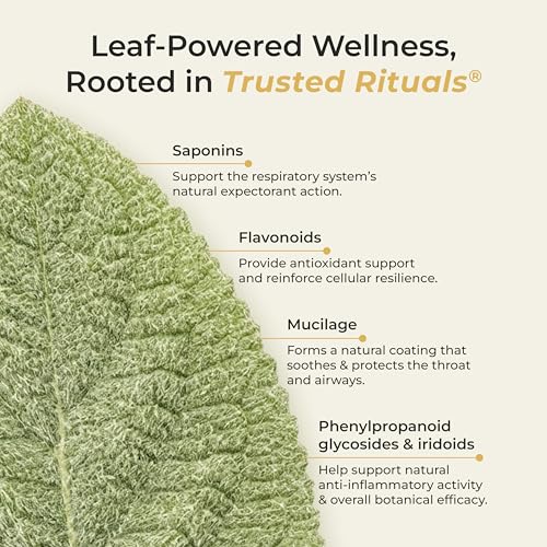 Image of Trusted Rituals Mullein Honey Sticks - 2000mg Mullein per Stick - Lung Detox & Respiratory Health Support - Mullein Leaf Extract Supplement with Raw Honey - Ginger Lemon Flavor - Throat Soothing & Seasonal Comfort - For Smokers and Seasonal Allergy Support - 30 Sticks