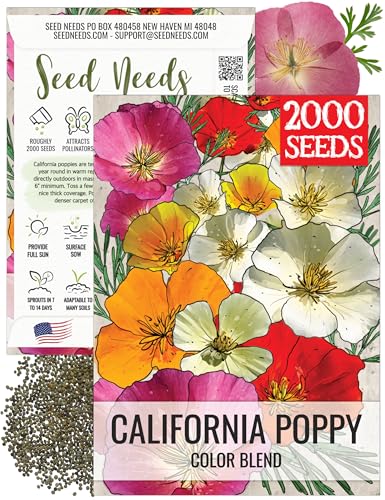 Seed Needs Mix California Poppy Seeds to Plant a Butterfly Garden 1 Pack