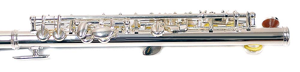 Amazon | PLAYTECH (プレイテック) ピッコロ ピッコロ PTPC100