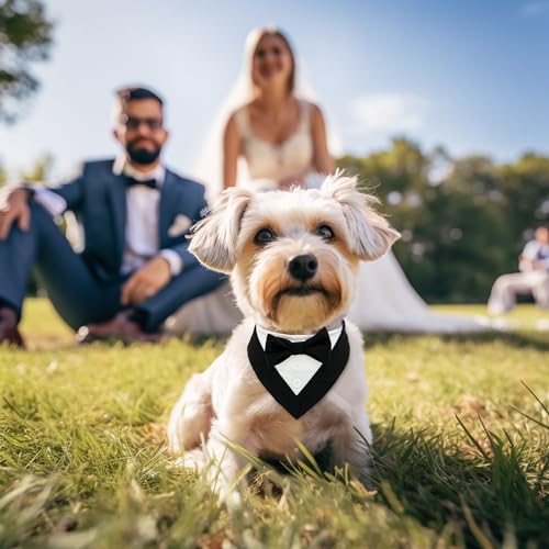 Disfraz Tuxedo Navidad para Perro Small Negro y Rojo a Cuadros miniatura 3
