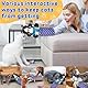 Dandin Cat Wrestling Toy Puppet, Katzen Handpuppen Kuscheltier, Katzen Plüschpuppe Interaktives Katzenspielzeug mit Robuster Polsterung, Lustige Katzen Puppe Wrestling Spielzeug