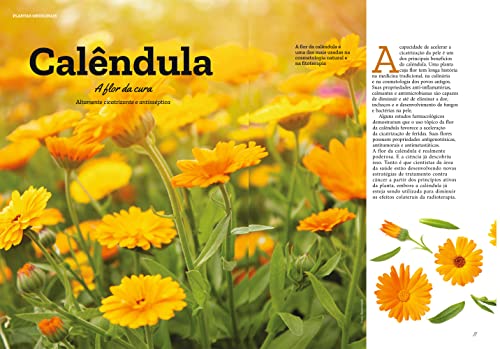 Plantas Medicinais (Coleção - Volume 1 a 6)