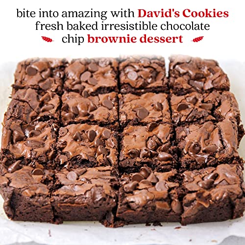 David's Cookies Classic Chocolate Chip Brownie Dessert Tray - Fresh Bake, Soft, Chewy, And Delicious Brownies - Great For Sharing At Parties, Events, Or With Family And Friends (26 Oz) #TOP2