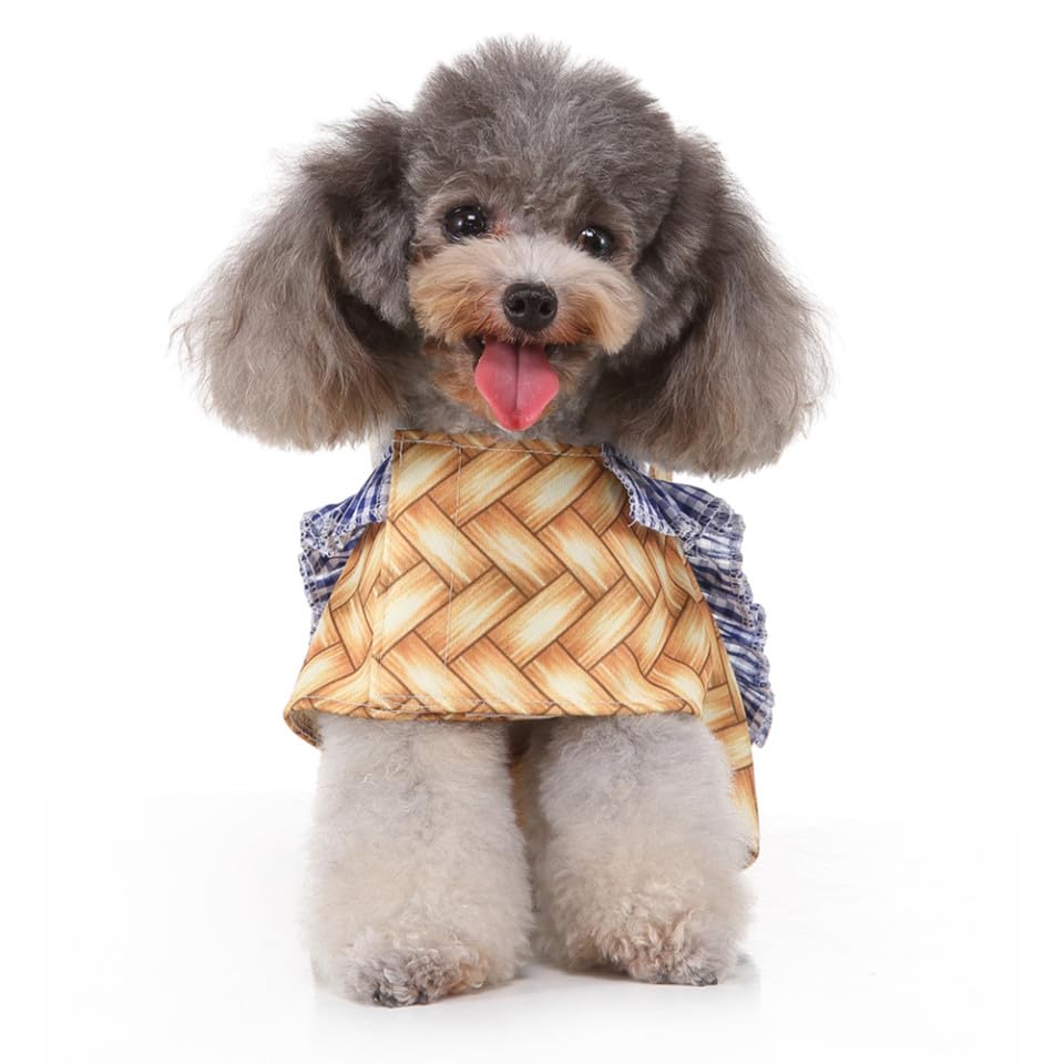 Disfraz divertido para perro talla XL transpirable miniatura 4