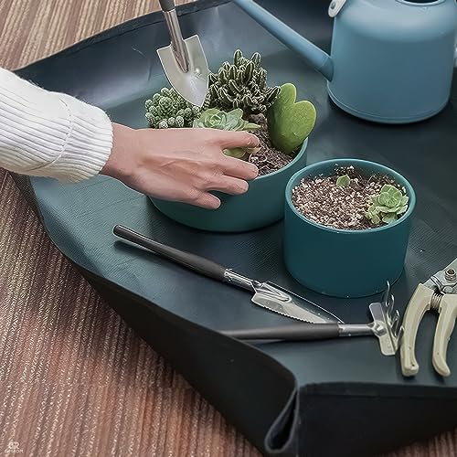 21 Pieces Succulent Plant Tools - Succulent Hand Transplanting Garden Tool Kit - Plant Care Accessories for Bonsai and Miniature Indoor Plants - Succulent Terrarium Tools Set Indoor Gardening Tools