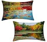 Funda Cojin 40x60 Juego de 2 Cojines Sofa Exterior Jardin Estanque Cojines Exterior Impermeable Lino Funda Almohada para Dormitorio Jardín Balcón Sofá Cama Camping, Home Decoration, Paisaje x-125