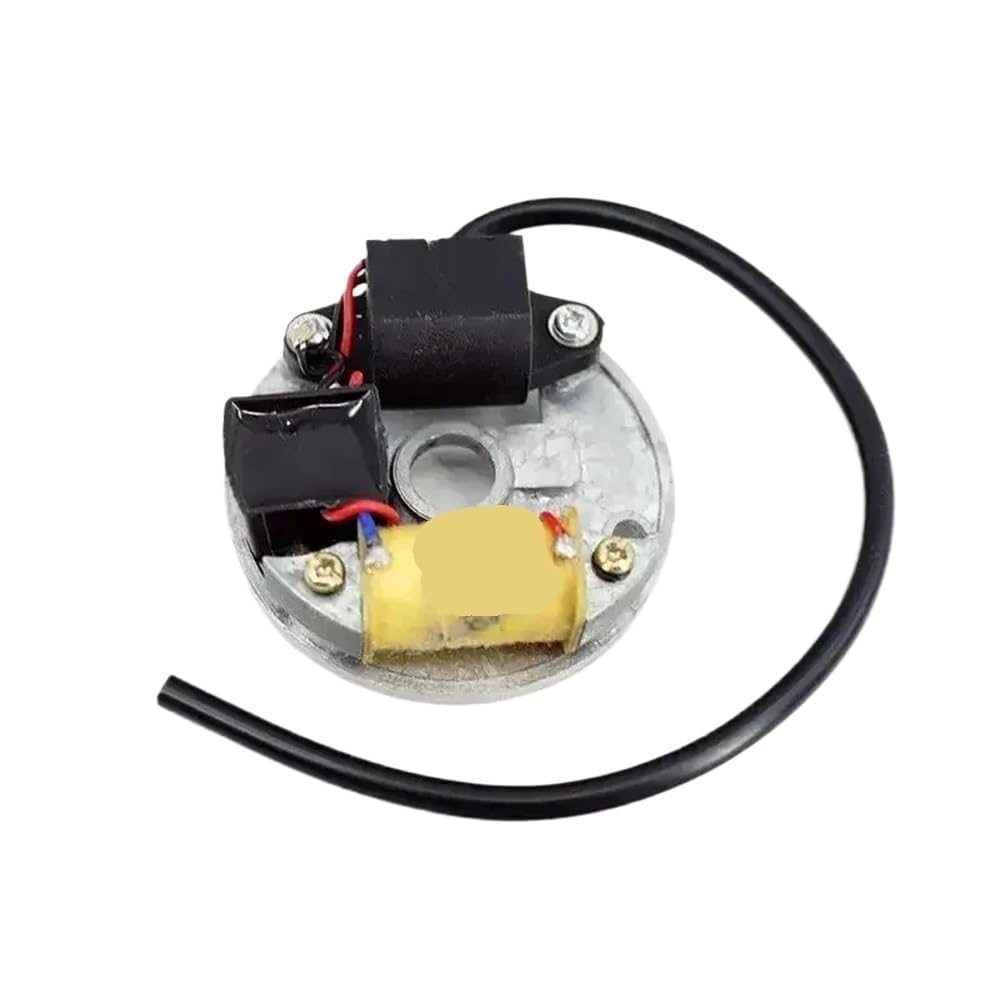 Stator d'allumage avec plaque d'induit électrique pour tronçonneuses 1E40F et 1E45F