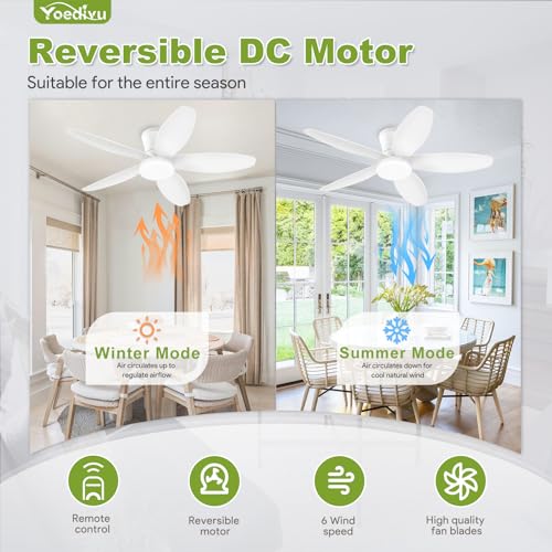 Image of White Ceiling Fan with Light, 42 Inch Low Profile Flush Mount Ceiling Fan 6-Speed Wind, Quiet Reversible DC Motor, 3 Color Dimmable Lighting, Small Ceiling Fans for Living Room /Kitchen /Bedroom