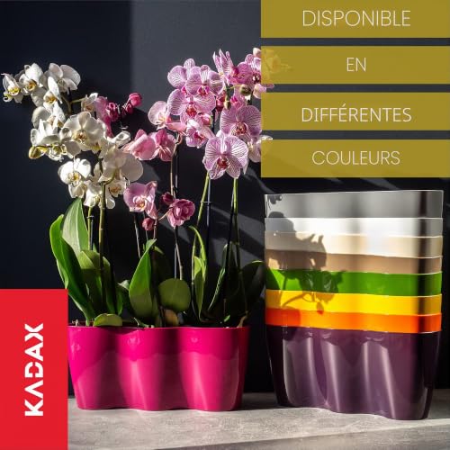 Pot de fleurs orchidées intérieur extérieur grand cache-pot crème