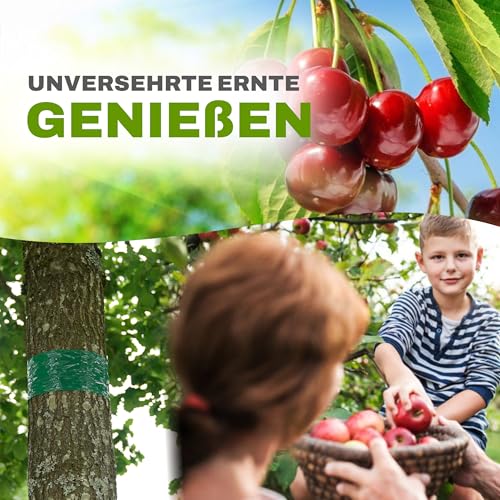 Leimring Gerhof für Obstbäume, 3,5 m, effektiver Insektenschutz