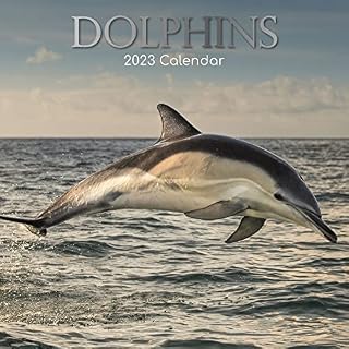Wall Calendar 2023 - Dolphins, 30 x 30 CM Monthly View, 16-Month, Animals Theme, Includes 180 Reminder Stickers