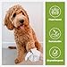 Pogi’s Dog Grooming Wipes – Hypoallergenic Pet Wipes for Paws, Body & Butt – Cleaning & Hydrating, Green Tea Scent, 100-Count