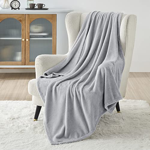 BEDSURE Kuscheldecke Flauschig Decke Fleecedecke - Wohndecke Warm Winter Weich, Sofadecke XL, Decke Couch Blanket, Wohn- & Kuscheldecken 150x200cm, Sofa überwurfdecke Hellgrau