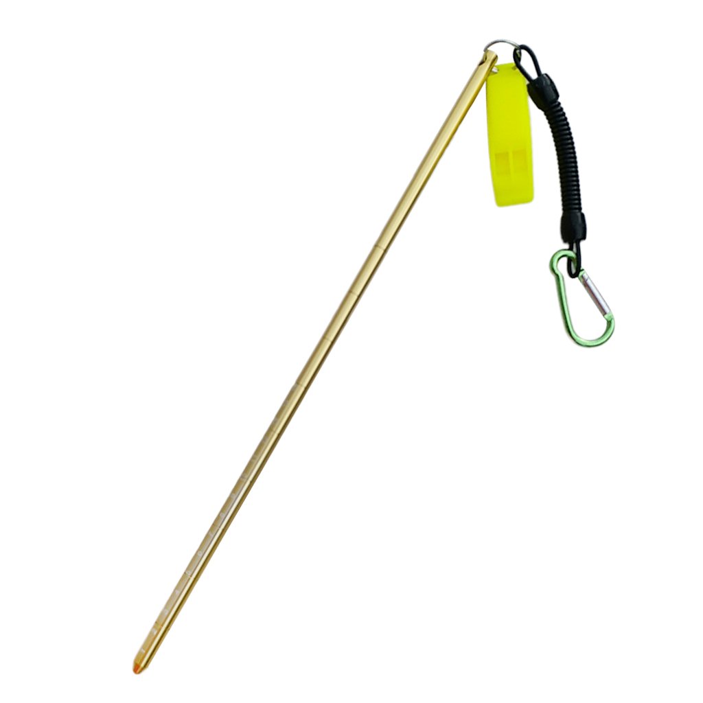 D DOLITY 34cm Aluminium Riffstab Unterwasser Tauchen Zeigestab mit Spiralkabel - Gold