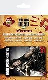 GB Eye The Walking Dead Daryl Karte, Mehrfarbig