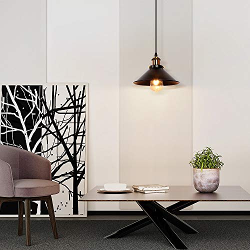 Newrays Lot de 2 luminaires suspendus industriels rétro en fer noir, cuisine, bar, balcon - Image 3