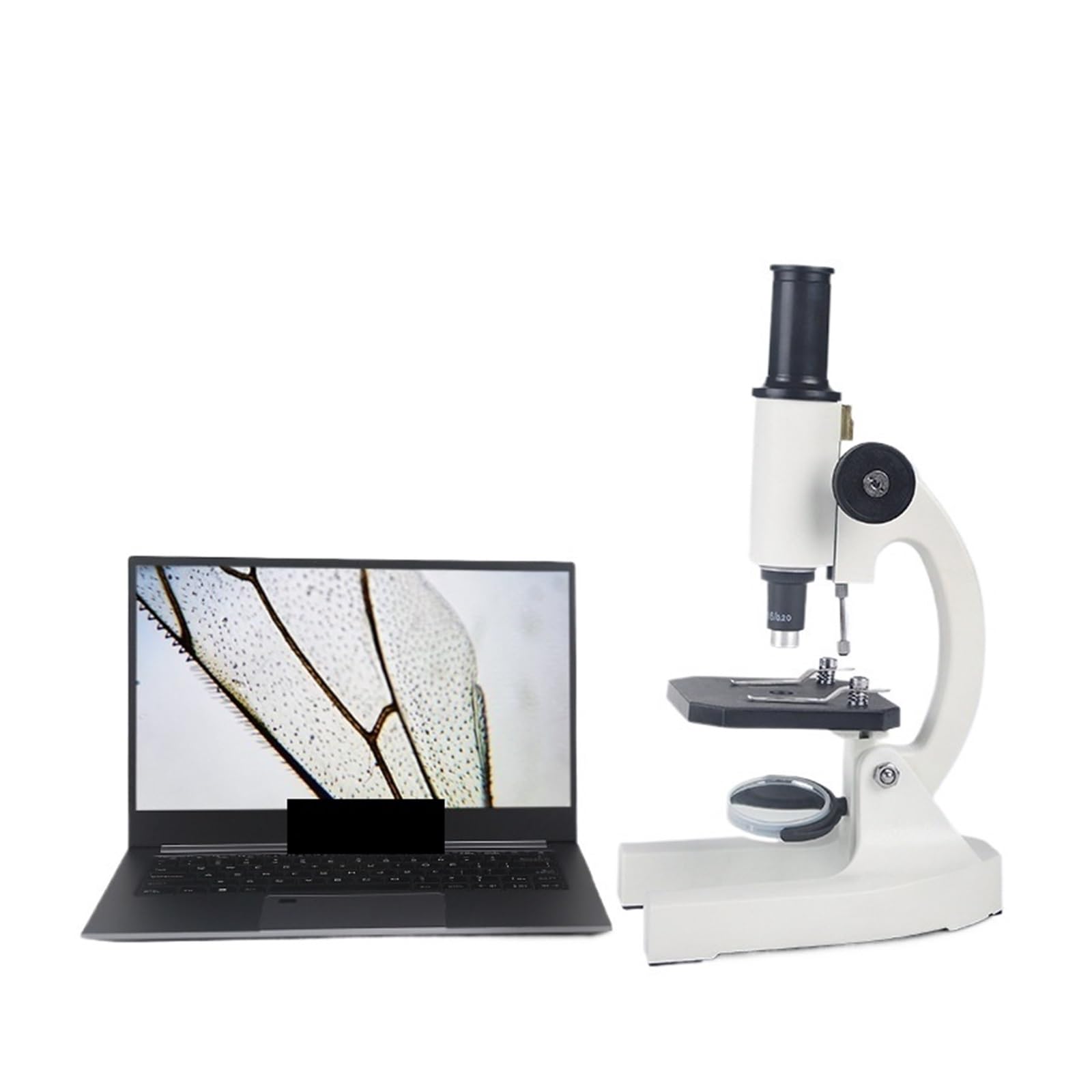 Microscopio ottico biologico HD identico al libro di testo, speciale for studenti della scuola primaria 200X, Strumenti ampiamente utilizzati