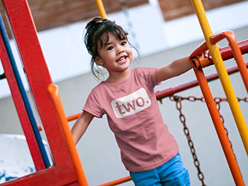 2nd Birthday Outfits for Toddler Girls Shirt 2 Year Old Girl Second Birthday Two4