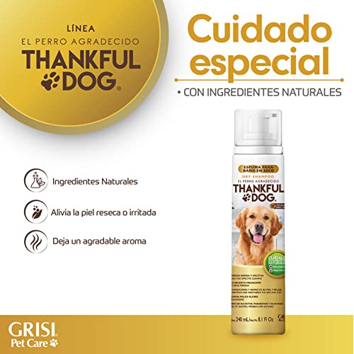 Cuidado Para El Cabello, Beauty Imagen adicional