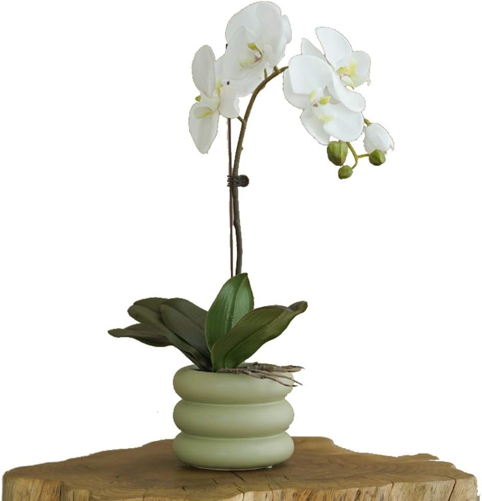 DLANDZ dorchidée artificielle phalaenopsis artificielles