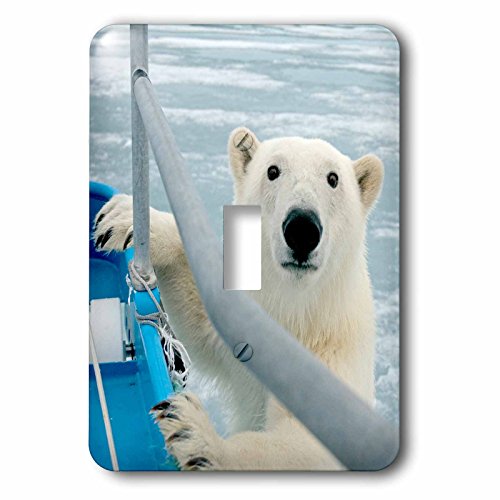 Ours polaires Norvège interrupteur à bascule multicolore Spitsbergen voilier 3dRose