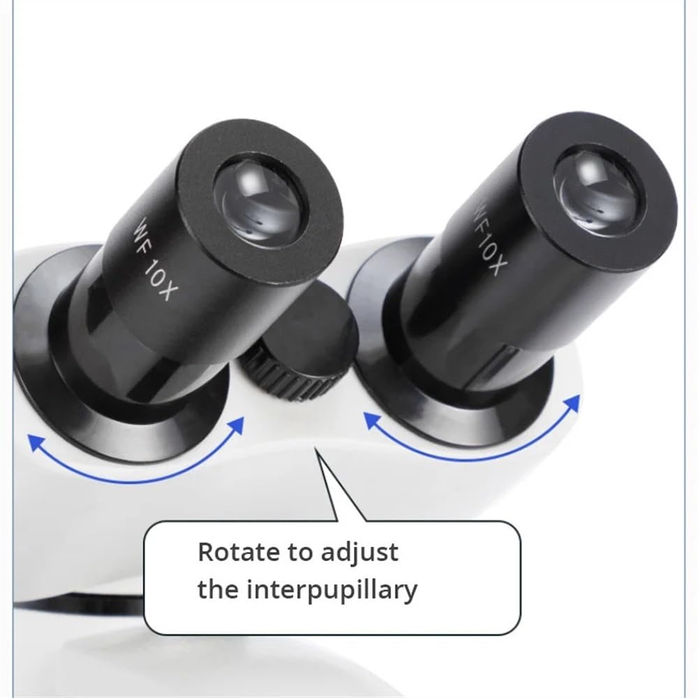 ZTBH Mikroskop-Zubehör-Kit Zoom 40X-6000X Binokulares biologisches HD-Mikroskop Laborstudentenmikroskop mit LED-Licht, 7-Zoll-Bildschirm und WF10X 50X-Okularen Mikroskopische Objektträger