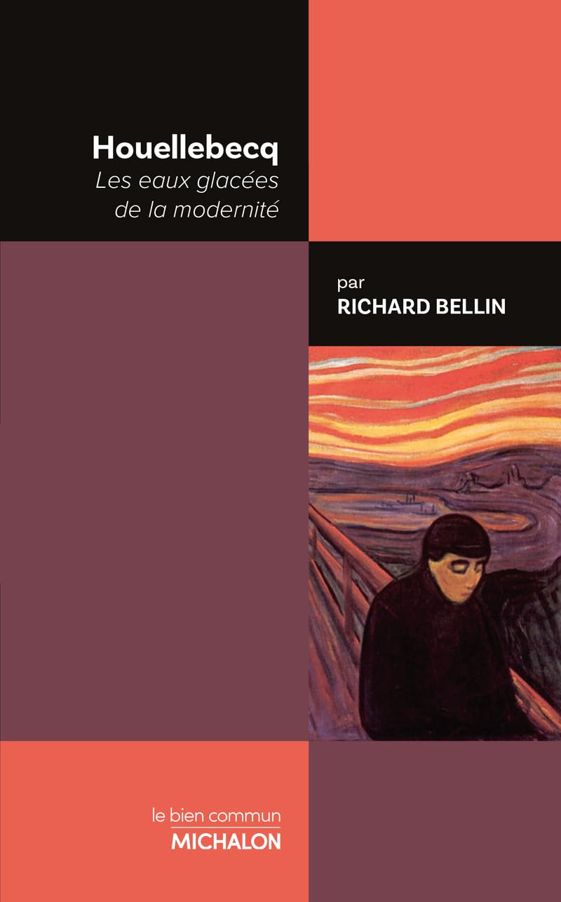 Houellebecq - Les eaux glacées de la modernité