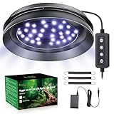 UVB Light for Reptiles with Dimming, LED UVB Light Bulb Fixture for Bearded Dragon Gecko Lizard Turtle Snake, Adjustable Brightness UVA UVB Lamp for Tropical & Desert Reptile Tank Accessories 8W Grey